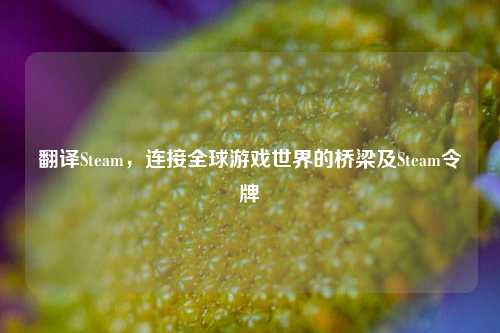 翻译Steam，连接全球游戏世界的桥梁及Steam令牌