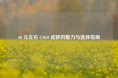60 元左右 CSGO 皮肤的魅力与选择指南