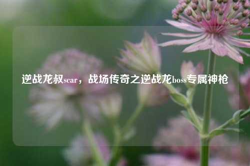 逆战龙叔scar，战场传奇之逆战龙boss专属神枪