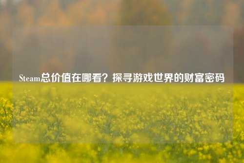 Steam总价值在哪看？探寻游戏世界的财富密码