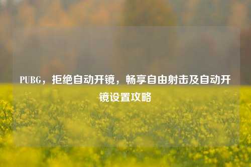 PUBG,拒绝自动开镜,畅享自由射击及自动开镜设置攻略