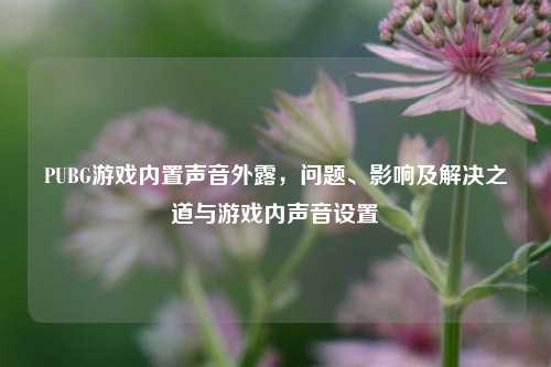 PUBG游戏内置声音外露，问题、影响及解决之道与游戏内声音设置