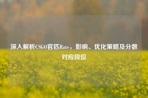 深入解析CSGO官匹Rate，影响、优化策略及分数对应段位