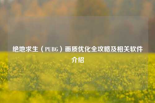绝地求生（PUBG）画质优化全攻略及相关软件介绍