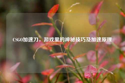 CSGO加速刀，游戏里的神秘技巧及加速原理