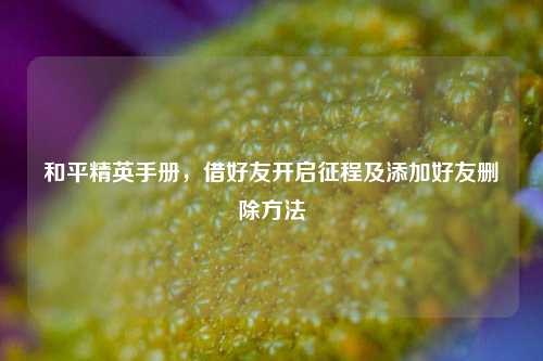 和平精英手册，借好友开启征程及添加好友删除方法