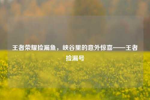 王者荣耀捡漏鱼，峡谷里的意外惊喜——王者捡漏号