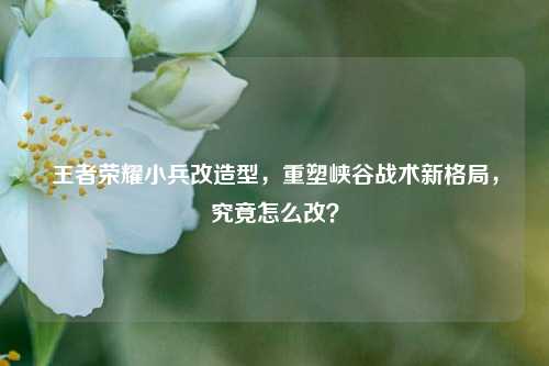 王者荣耀小兵改造型，重塑峡谷战术新格局，究竟怎么改？