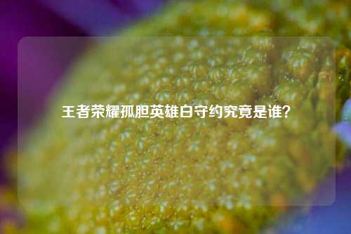 王者荣耀孤胆英雄白守约究竟是谁？