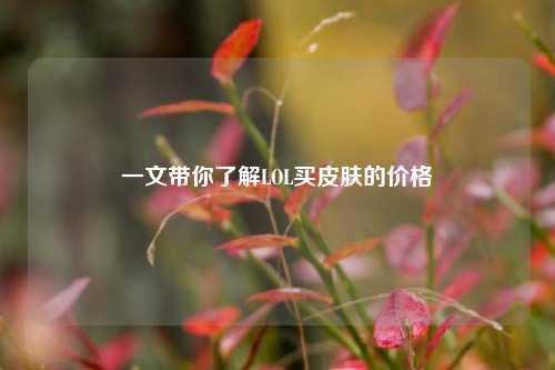 一文带你了解LOL买皮肤的价格