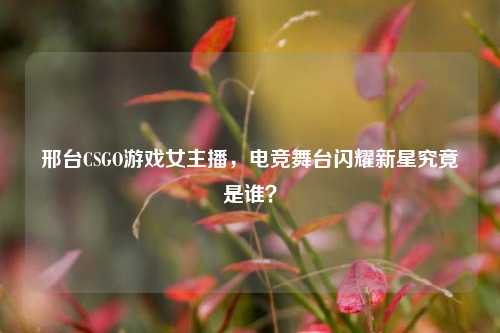邢台CSGO游戏女主播，电竞舞台闪耀新星究竟是谁？