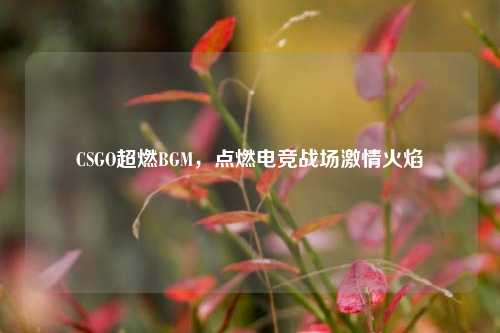 CSGO超燃BGM，点燃电竞战场激情火焰