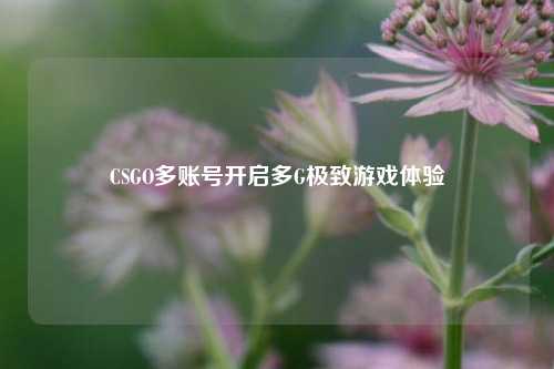 CSGO多账号开启多G极致游戏体验