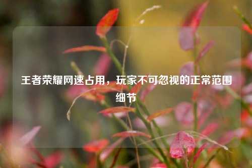 王者荣耀网速占用，玩家不可忽视的正常范围细节