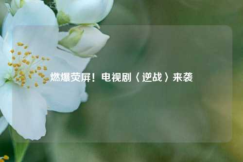 燃爆荧屏！电视剧〈逆战〉来袭