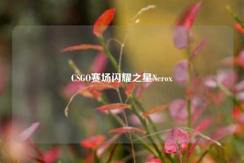 CSGO赛场闪耀之星Nerox