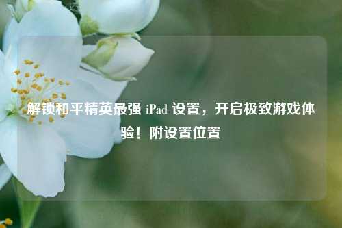 解锁和平精英最强 iPad 设置，开启极致游戏体验！附设置位置
