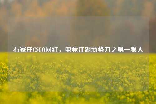 石家庄CSGO网红，电竞江湖新势力之第一狠人