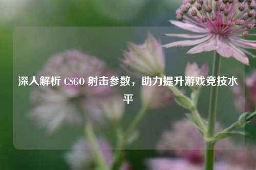 深入解析 CSGO 射击参数，助力提升游戏竞技水平