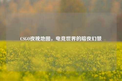 CSGO夜晚地图，电竞世界的暗夜幻景