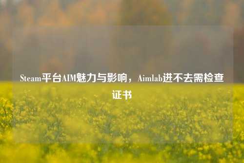 Steam平台AIM魅力与影响，Aimlab进不去需检查证书