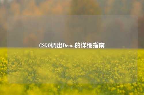 CSGO调出Demo的详细指南