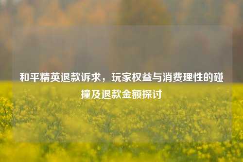 和平精英退款诉求，玩家权益与消费理性的碰撞及退款金额探讨