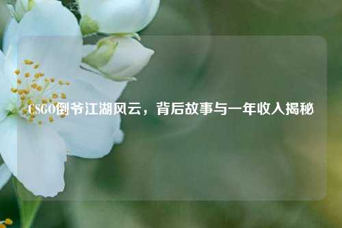 CSGO倒爷江湖风云，背后故事与一年收入揭秘