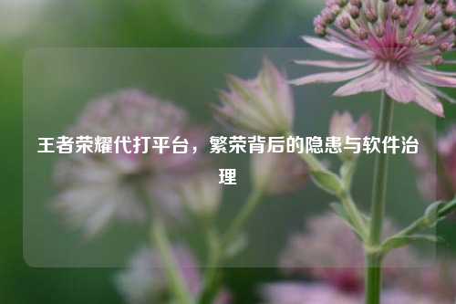 王者荣耀代打平台，繁荣背后的隐患与软件治理