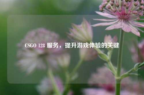 CSGO 128 服务，提升游戏体验的关键