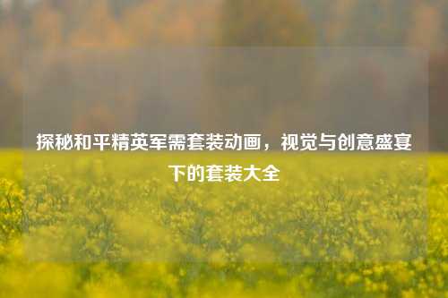 探秘和平精英军需套装动画，视觉与创意盛宴下的套装大全