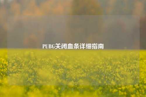 PUBG关闭血条详细指南
