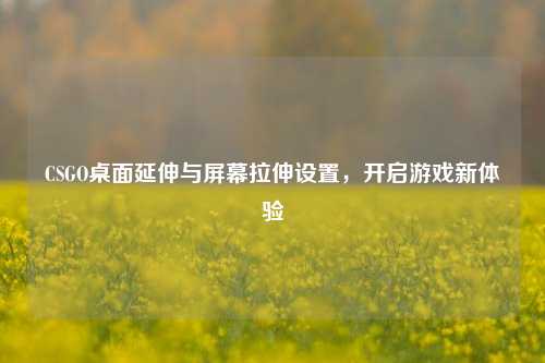 CSGO桌面延伸与屏幕拉伸设置，开启游戏新体验