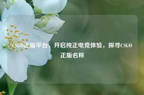 CSGO正版平台，开启纯正电竞体验，探寻CSGO正版名称