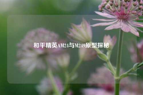 和平精英AM24与M249原型探秘