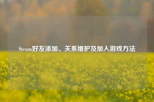 Steam好友添加、关系维护及加入游戏方法