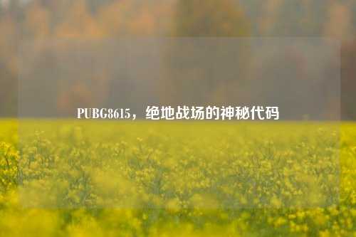 PUBG8615，绝地战场的神秘代码