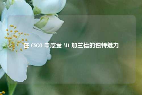 在 CSGO 中感受 M1 加兰德的独特魅力