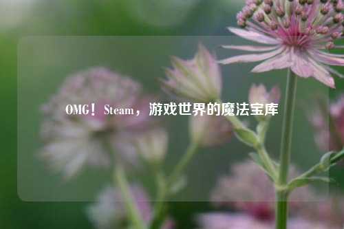 OMG！Steam，游戏世界的魔法宝库