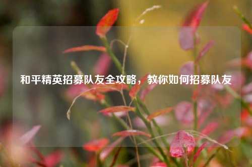 和平精英招募队友全攻略，教你如何招募队友