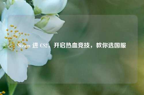 Steam 进 CS2，开启热血竞技，教你选国服