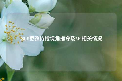 CSGO更改持枪视角指令及API相关情况