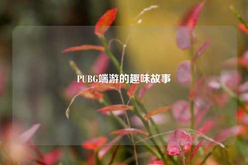 PUBG端游的趣味故事