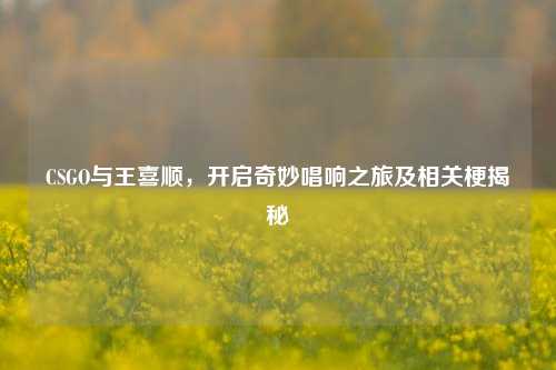 CSGO与王喜顺，开启奇妙唱响之旅及相关梗揭秘