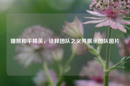 播放和平精英，诠释团队之义并展示团队图片