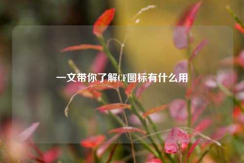 一文带你了解CF图标有什么用