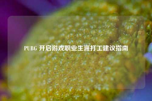 PUBG 开启游戏职业生涯打工建议指南