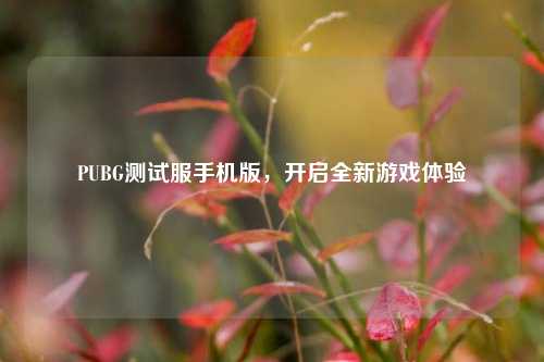 PUBG测试服手机版,开启全新游戏体验