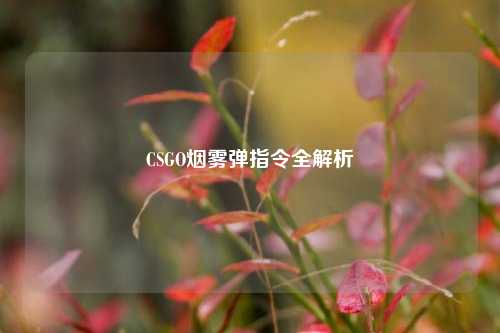 CSGO烟雾弹指令全解析