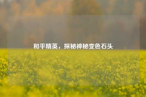 和平精英，探秘神秘变色石头